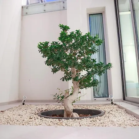 Mythical Zeus And Venus