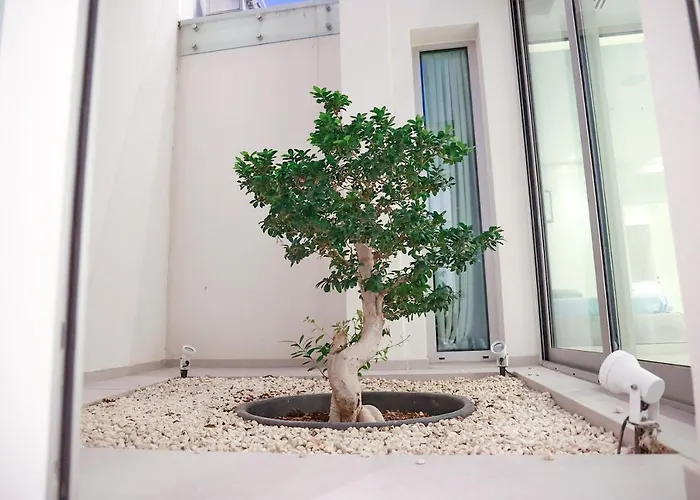 Mythical Zeus And Venus