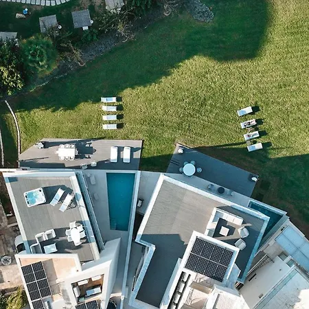 Mythical Zeus And Venus