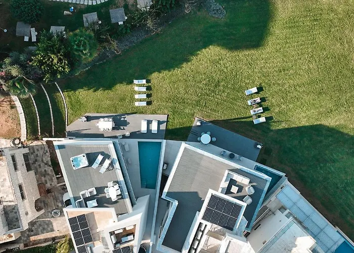 Mythical Zeus And Venus